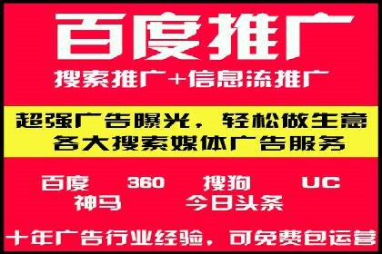 百度竞价与搜索引擎优化（SEO）的协同效应案例
